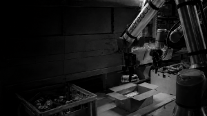 Sereact Raises $110M to Scale Physical AI and Bring ‘Thinking’ Robots to Industry