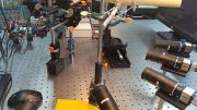 High-Speed Multi-Camera Metrology Enables 3D Reconstruction of Plasma Jet Discharges